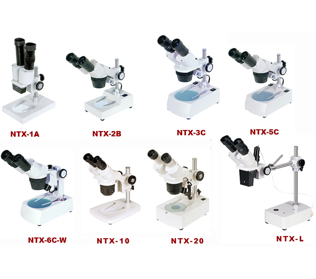 NTX Serials Stereo Microscope