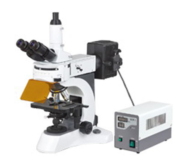 N-800F Laboratory Biological Fluorescent Microscope