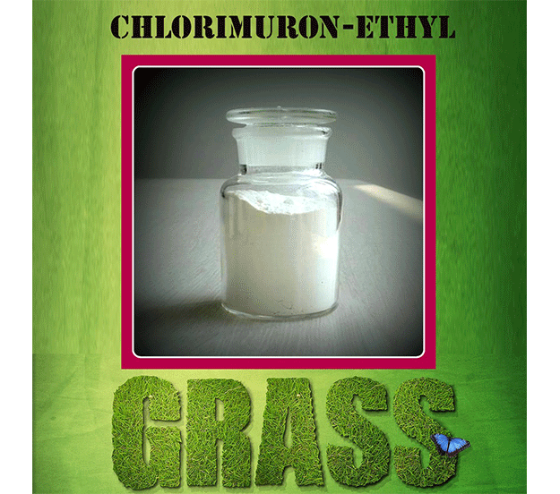 Chlorimuron Ethyl